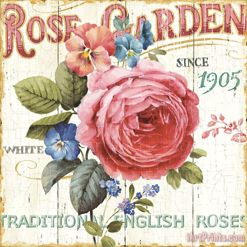 Rose Garden I painting - Lisa Audit Rose Garden I Art Print