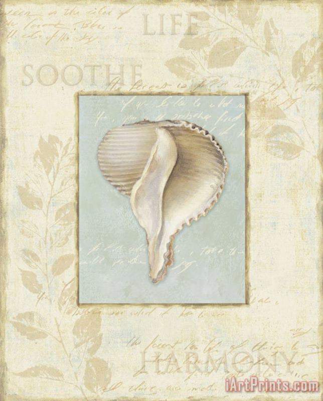 Lisa Audit Soothing Words Shells Iv Art Painting