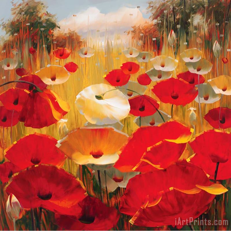 Lucas Santini Meadow Poppies III Art Painting