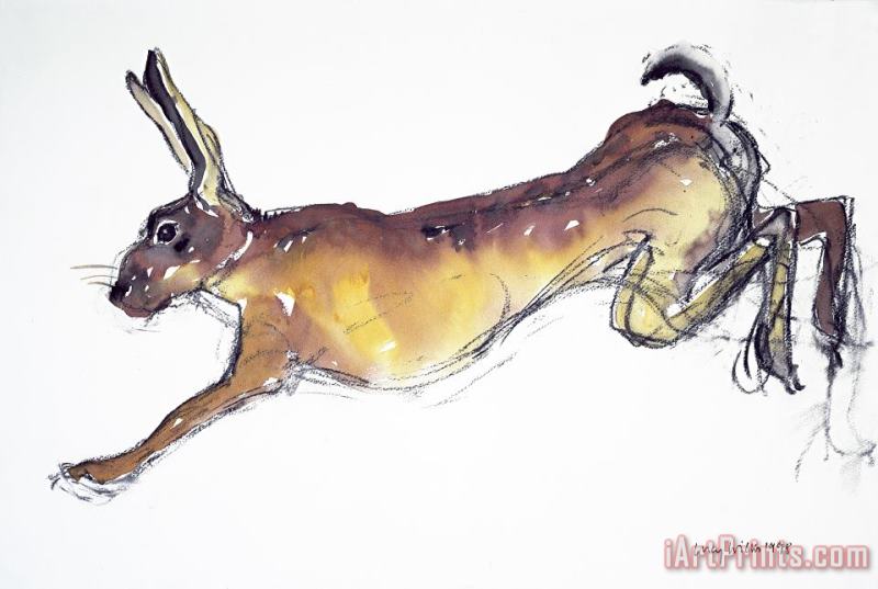 Lucy Willis Jumping Hare Art Painting