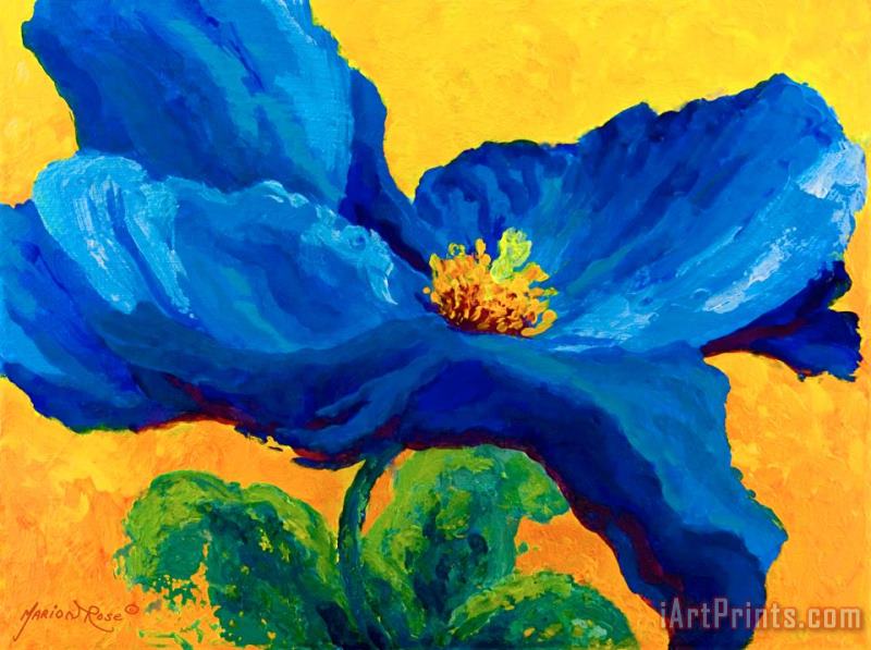 Marion Rose Blue Poppy Art Painting