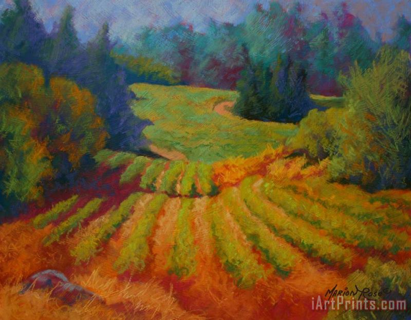 Marion Rose Columbia Valley Vineyard Art Print