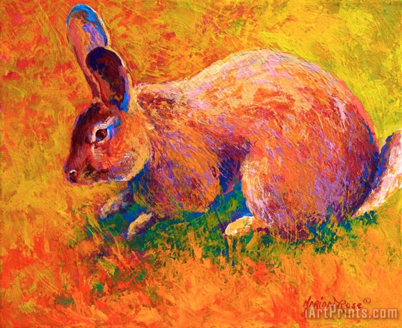 Cottontail I painting - Marion Rose Cottontail I Art Print