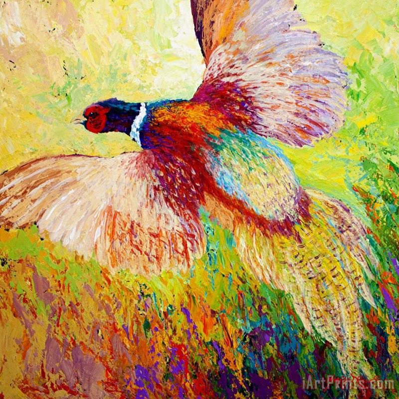 Flushed - Pheasant painting - Marion Rose Flushed - Pheasant Art Print