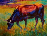 Marion Rose - Grazing Texas Longhorn painting