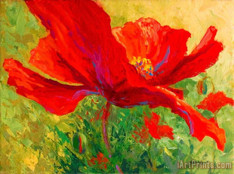 Red Poppy I painting - Marion Rose Red Poppy I Art Print