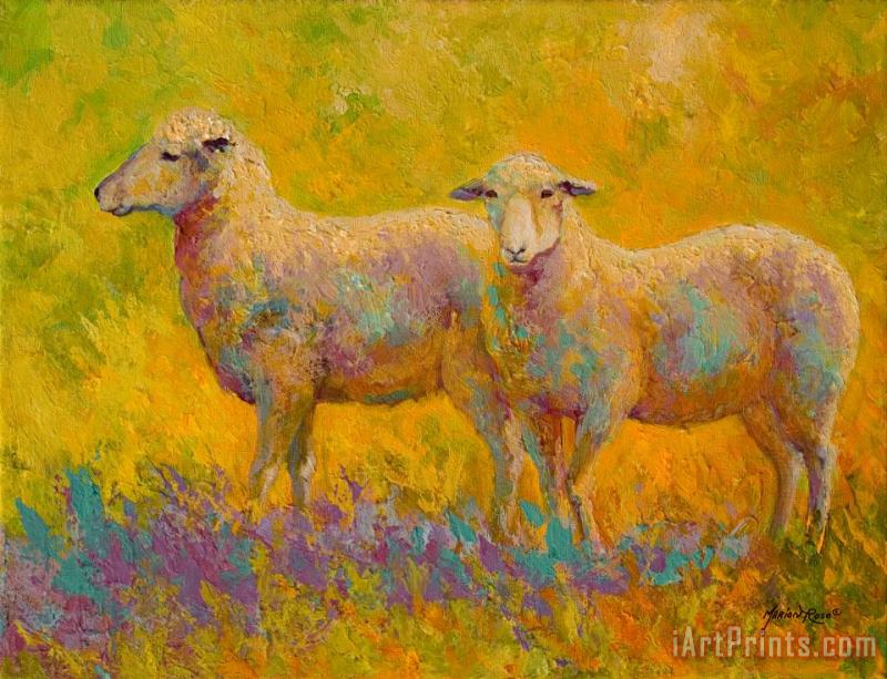 Marion Rose Warm Glow - Sheep Pair Art Painting