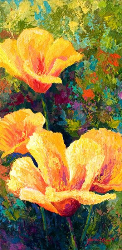 Marion Rose Yellow Field poppies Art Painting