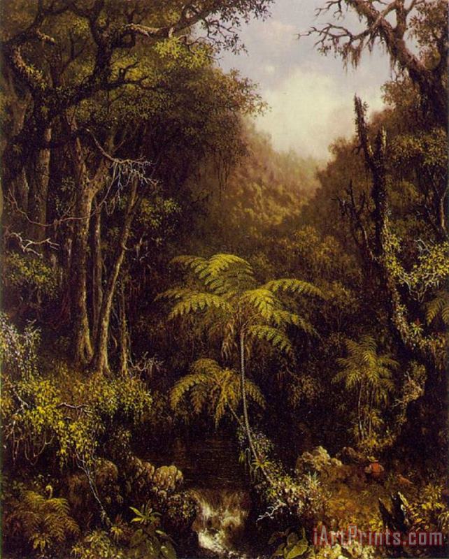 Brazilian Forest painting - Martin Johnson Heade Brazilian Forest Art Print
