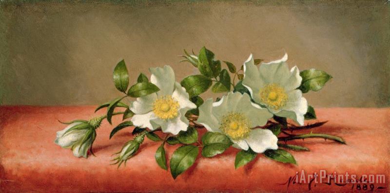 Martin Johnson Heade Cherokee Roses Art Print