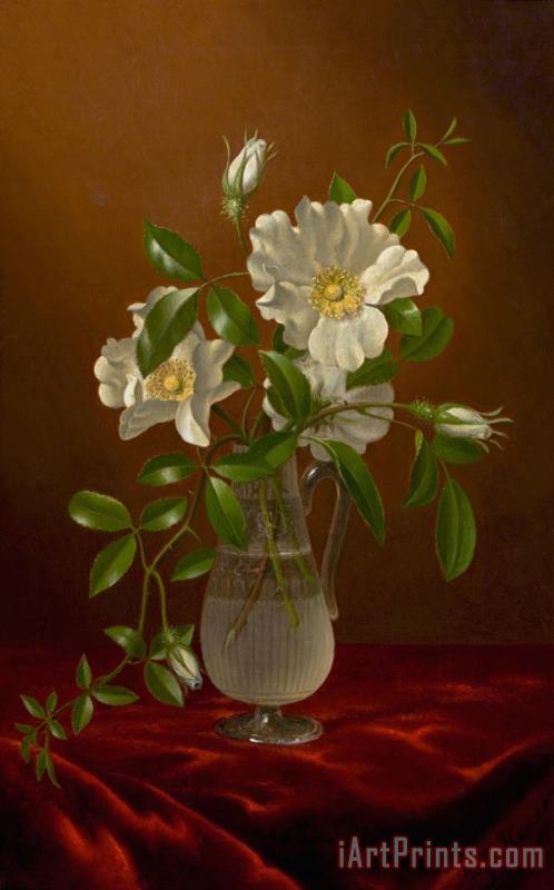 Martin Johnson Heade Cherokee Roses in a Glass Vase Art Print