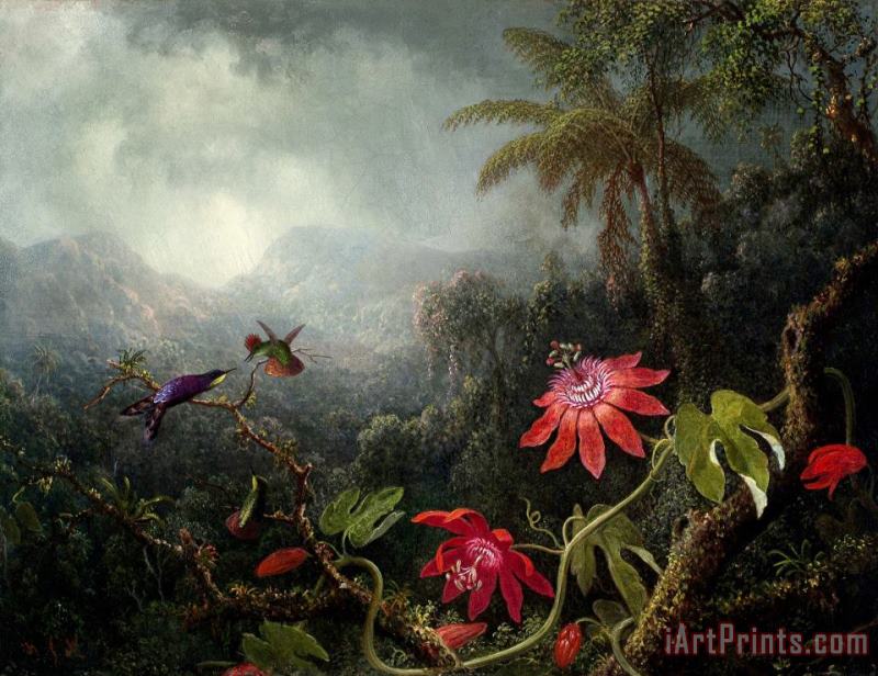 Passion Flowers with Three Hummingbirds painting - Martin Johnson Heade Passion Flowers with Three Hummingbirds Art Print