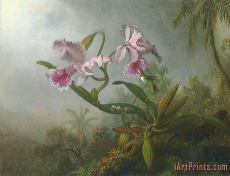 Martin Johnson Heade Pink Orchids And Hummingbird on a Twig Art Print