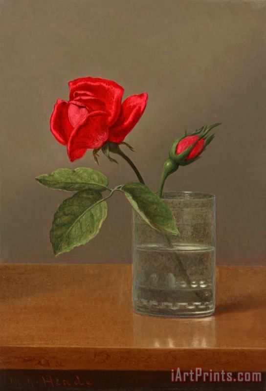 Martin Johnson Heade Red Rose And Bud in a Tumbler on a Shiny Table Art Print