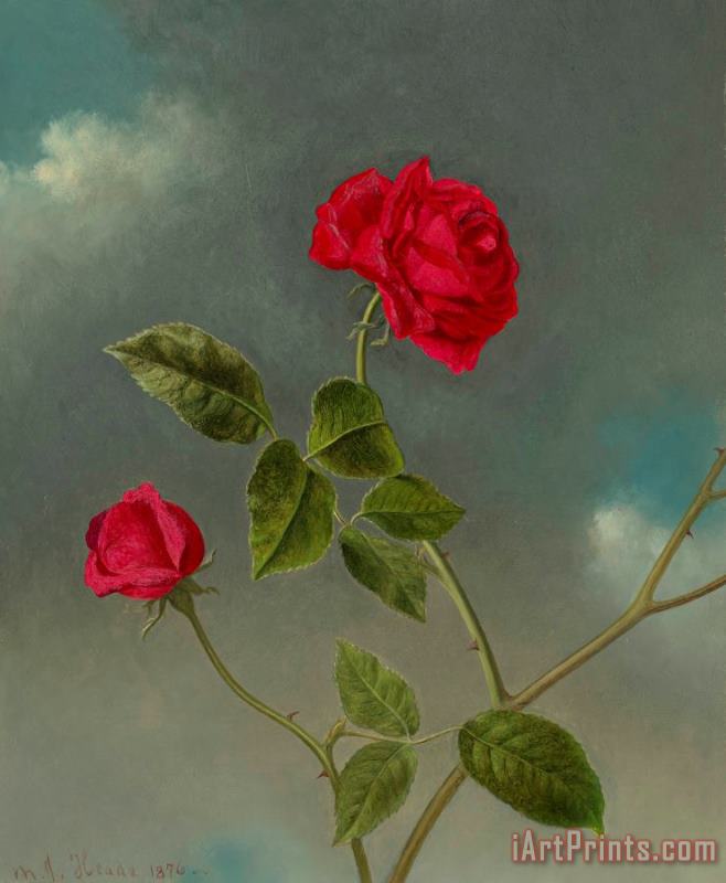 Martin Johnson Heade Roses, 1876 Art Painting