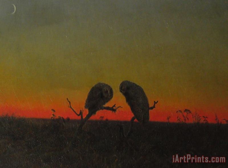 Two Owls at Sunset painting - Martin Johnson Heade Two Owls at Sunset Art Print