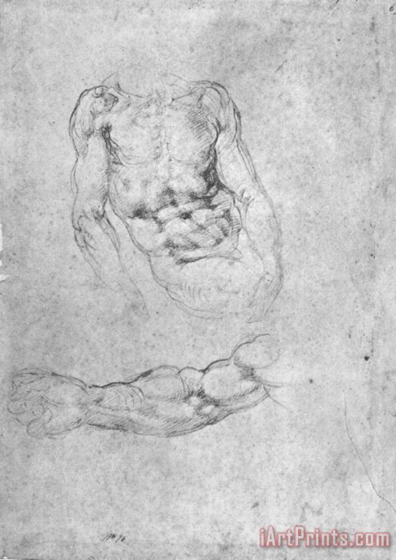 Michelangelo Studies for Pieta Or The Last Judgement Art Print