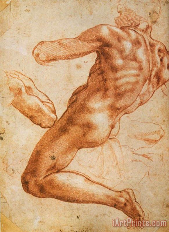 Study for an Ignudo painting - Michelangelo Study for an Ignudo Art Print