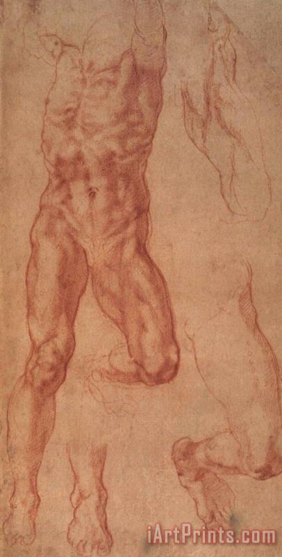 Study for Haman painting - Michelangelo Study for Haman Art Print