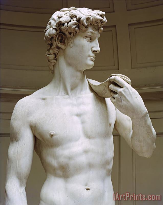 Michelangelo Buonarroti David Detail Art Painting