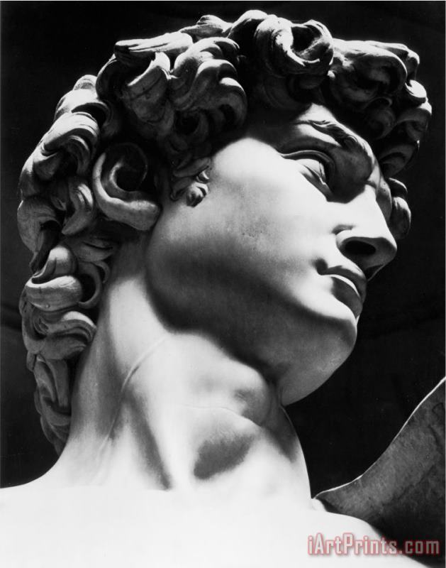 Michelangelo Buonarroti David Michelangelo Buonarroti Galleria Dell Accademia Florence Art Print