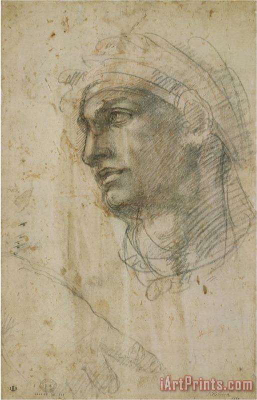 Michelangelo Head of Youth painting - Michelangelo Buonarroti Michelangelo Head of Youth Art Print