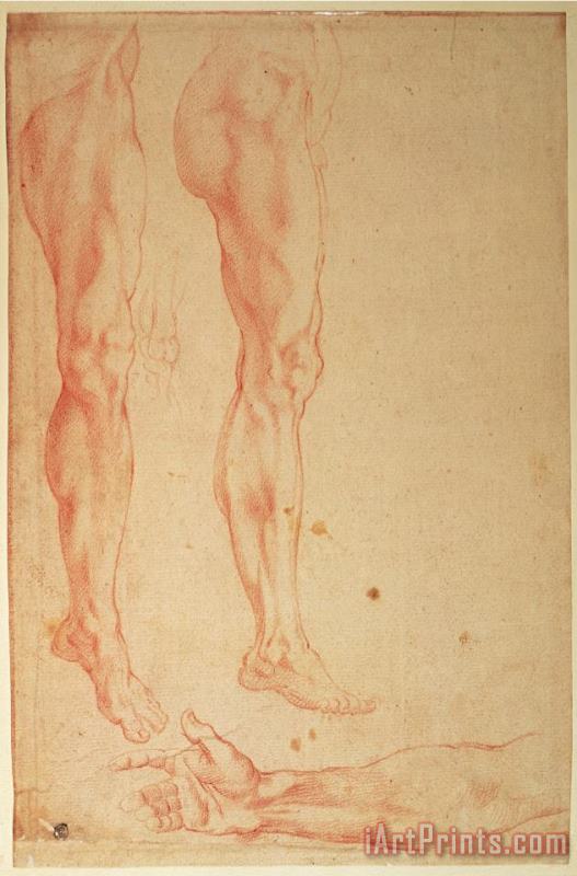 Studies of Legs And Arms Red Chalk on Paper painting - Michelangelo Buonarroti Studies of Legs And Arms Red Chalk on Paper Art Print