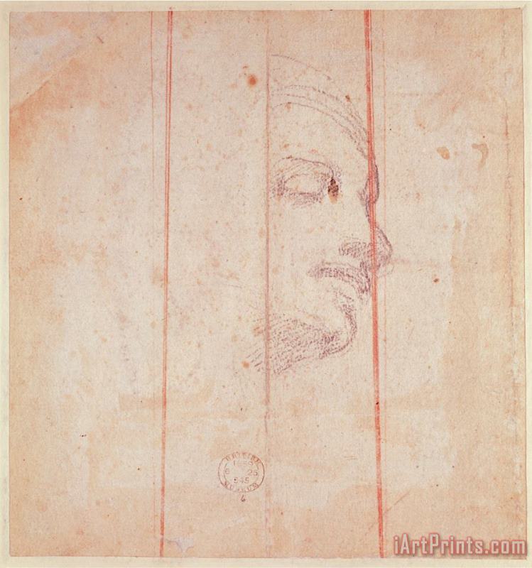 Michelangelo Buonarroti Study for The Head of The Libyan Sibyl Black Chalk on Paper Verso Art Print
