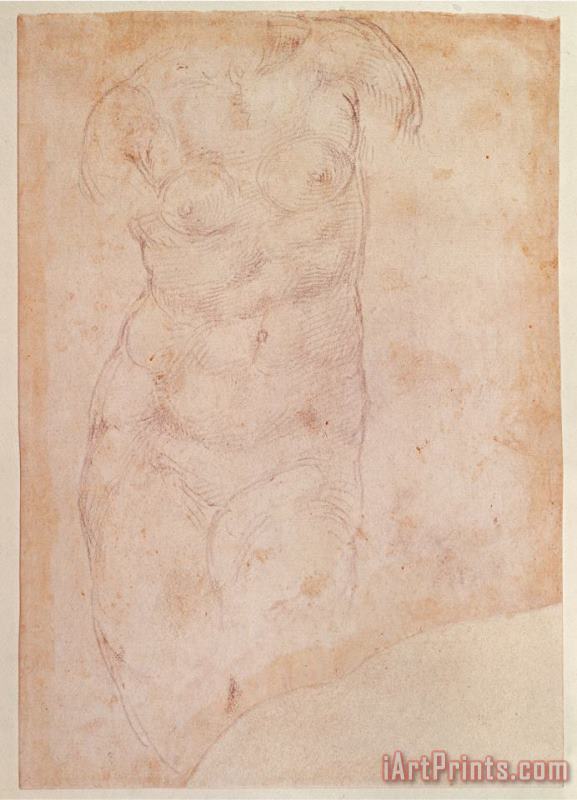 Michelangelo Buonarroti Study of a Female Nude Black Chalk on Paper Art Print