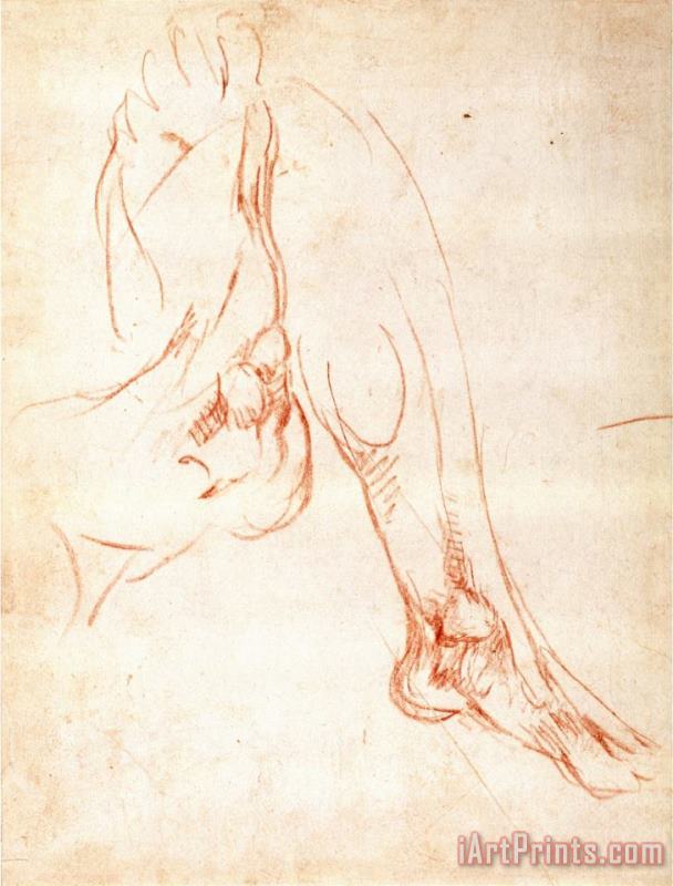 Study of a Lower Leg And Foot painting - Michelangelo Buonarroti Study of a Lower Leg And Foot Art Print