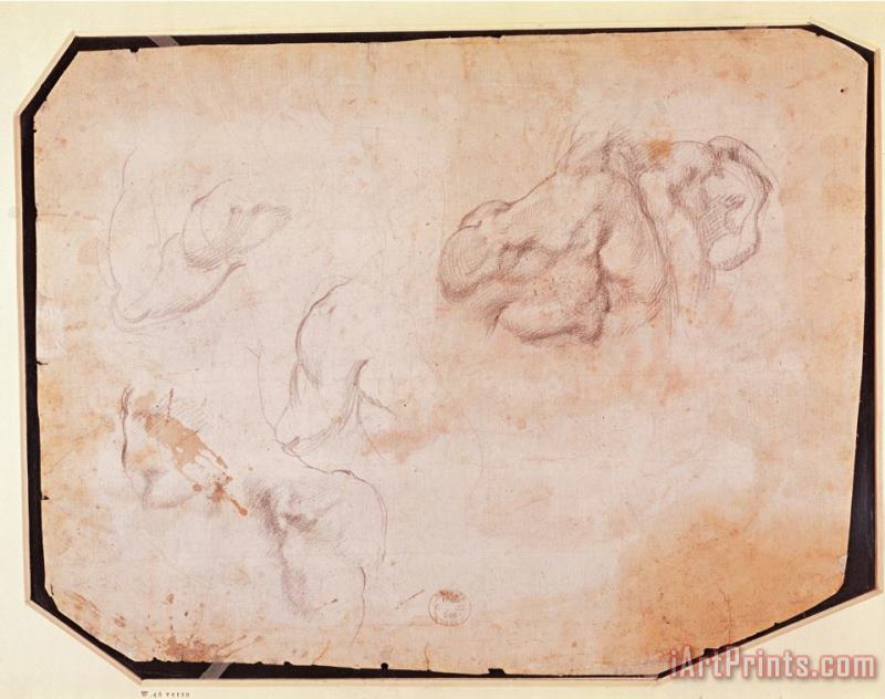 Study of Muscles Pencil on Paper Verso for Recto See 191769 painting - Michelangelo Buonarroti Study of Muscles Pencil on Paper Verso for Recto See 191769 Art Print