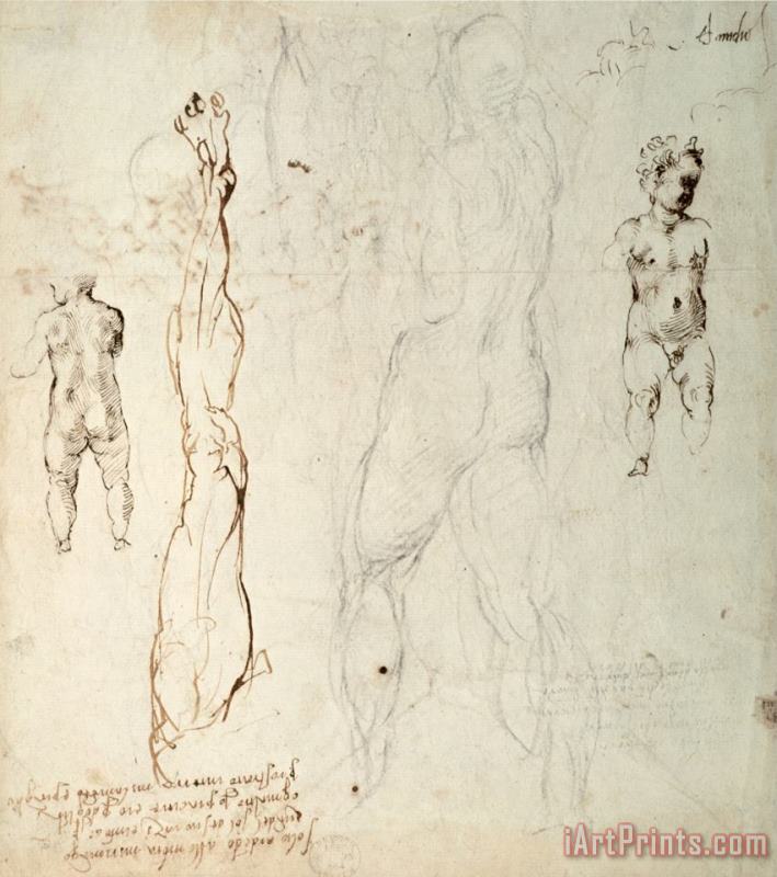 Michelangelo Buonarroti Study of The Christ Child And an Anatomical Drawing with Notes Art Painting