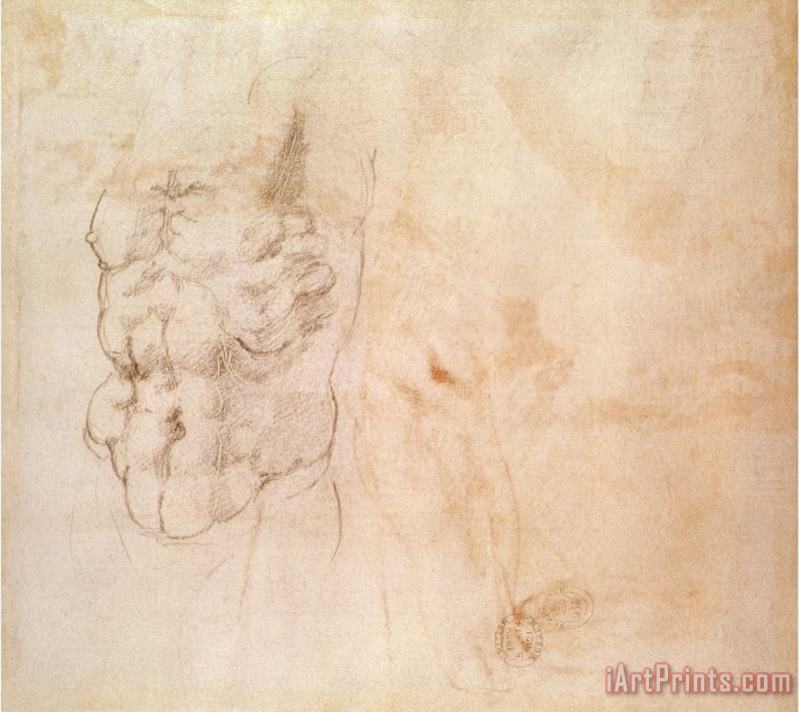 Michelangelo Buonarroti Torso Study Art Print