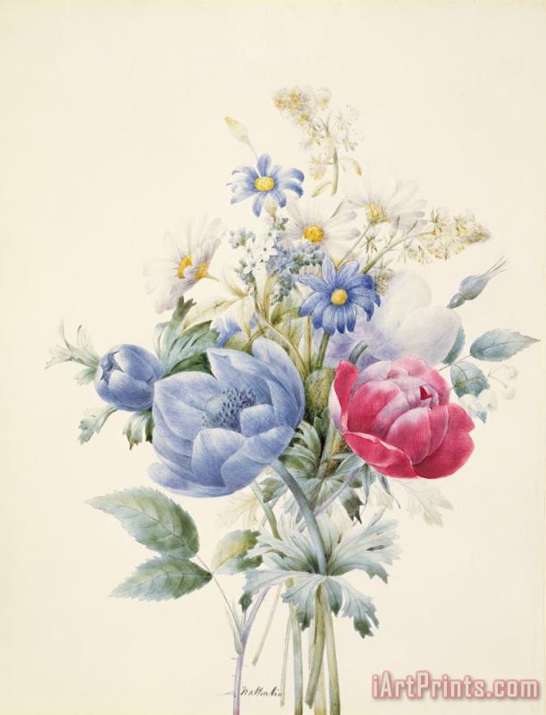 Nathalie d Esmenard A Rose Anemone Mignonette and Daisies Art Print