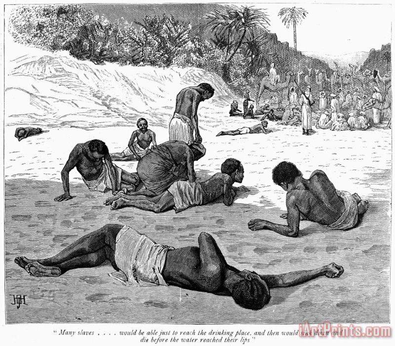 Others Africa: Slave Trade, 1889 Art Painting