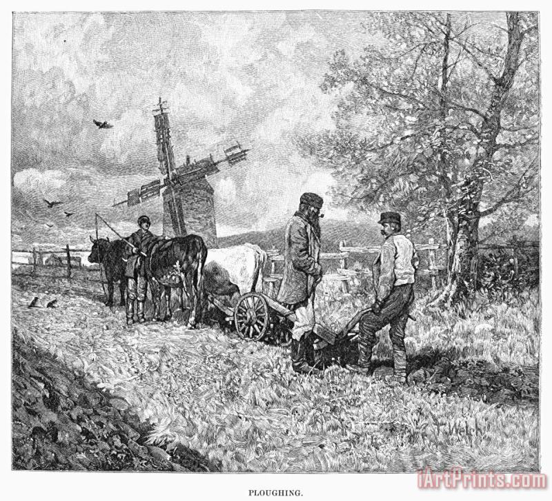 Others Canada: Farming, 1883 Art Painting