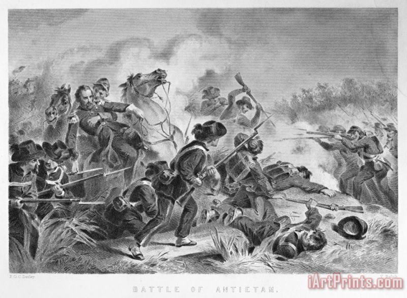 Civil War: Antietam, 1862 painting - Others Civil War: Antietam, 1862 Art Print