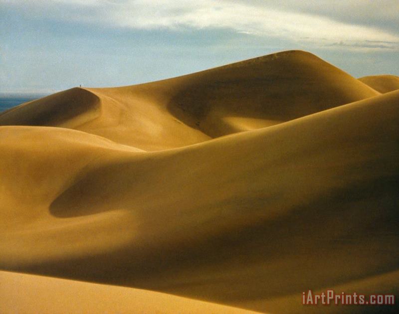Others Colorado: Sand Dunes Art Painting