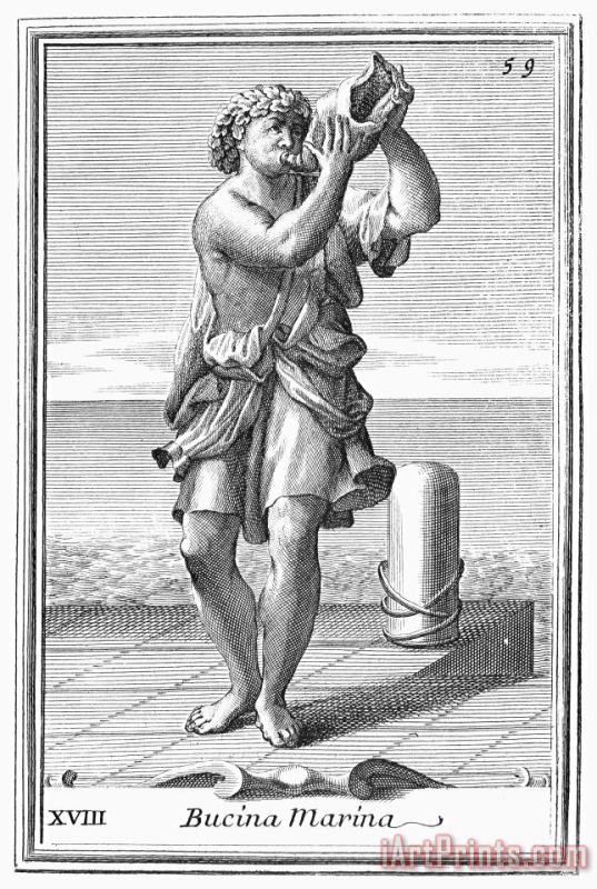 Others Conch Shell Trumpet, 1723 Art Print