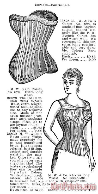 Others Corset Advertisement, 1895 Art Painting