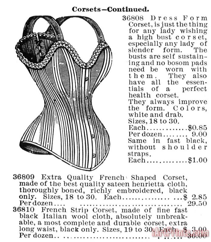 Others Corset Advertisement, 1895 Art Painting