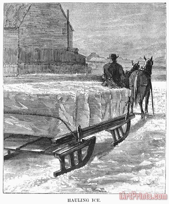 Others CUTTING ICE, c1870 Art Print