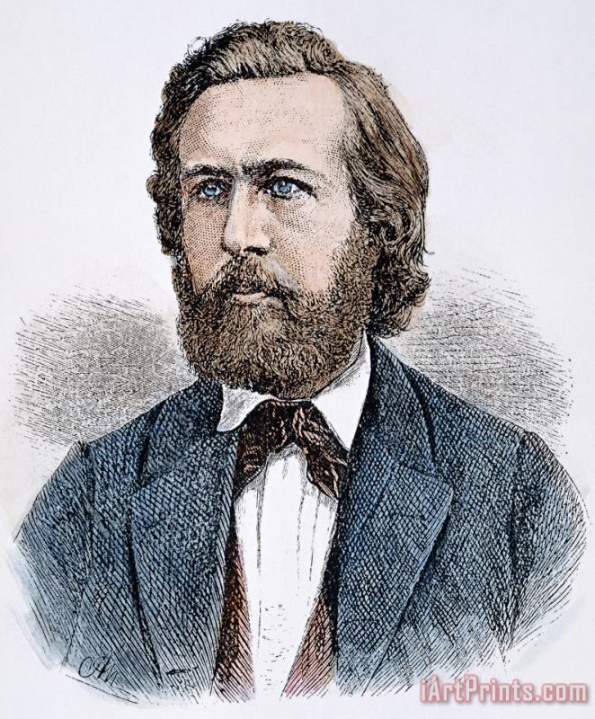 Ernst Heinrich Haeckel painting - Others Ernst Heinrich Haeckel Art Print