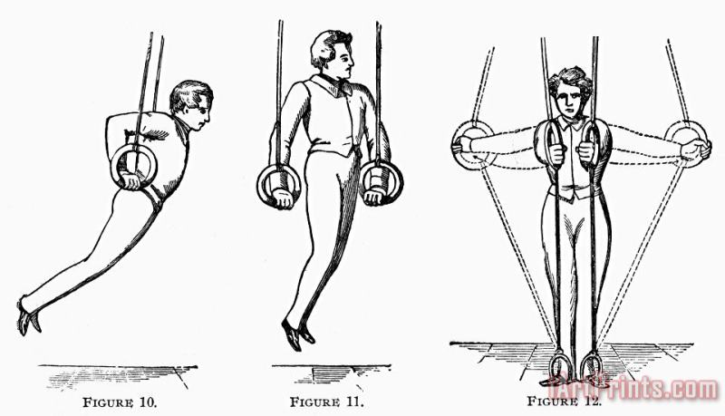 Others EXERCISE, 19th CENTURY Art Print
