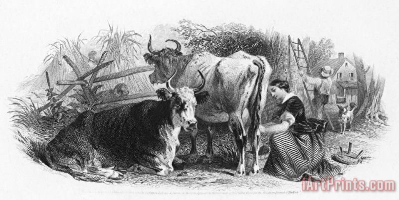 Farming: Milking painting - Others Farming: Milking Art Print