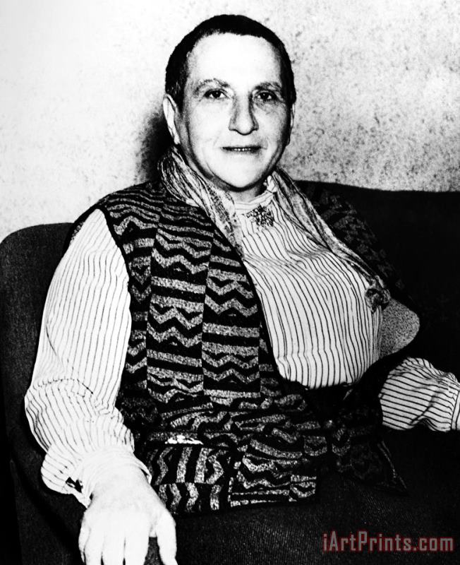 Others Gertrude Stein (1874-1946) Art Print