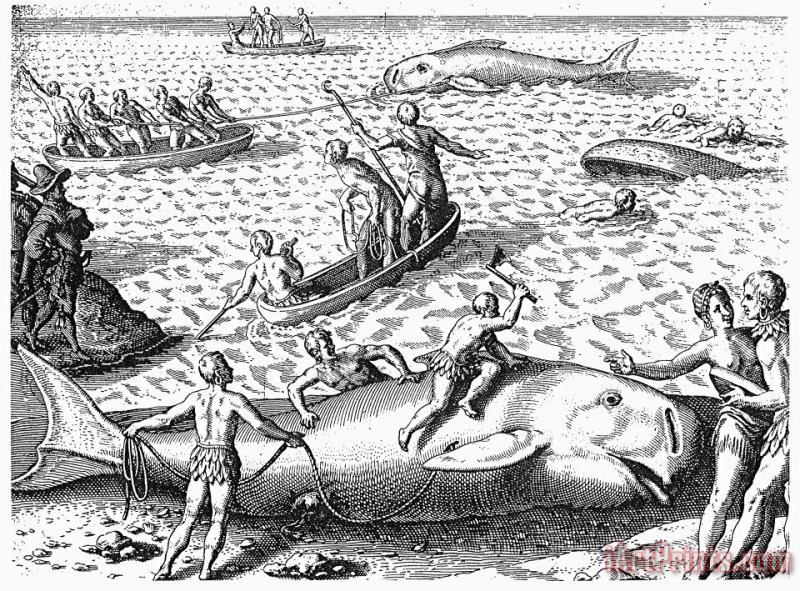 Others HARPOONING WHALES, c1590 Art Painting
