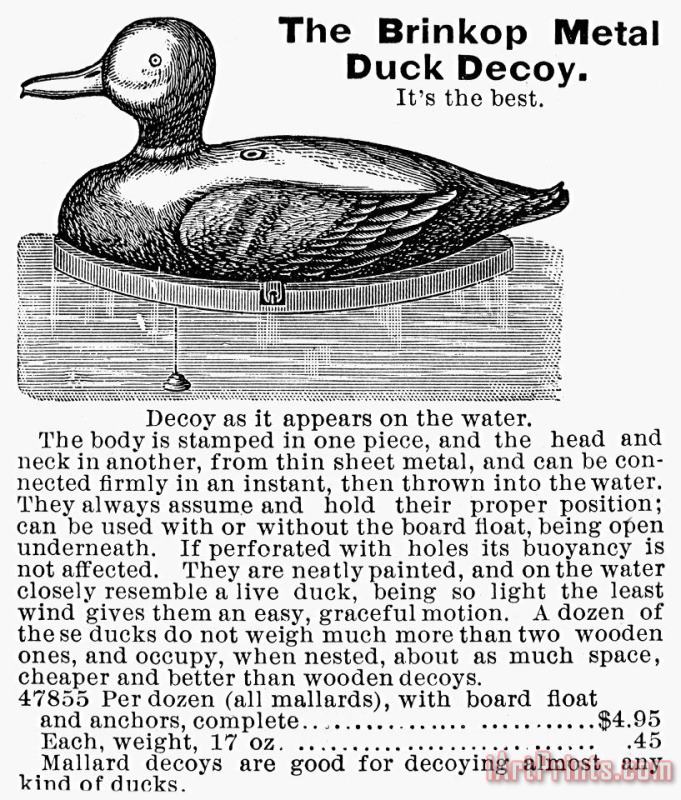 Others Hunting: Duck Decoy, 1895 Art Print