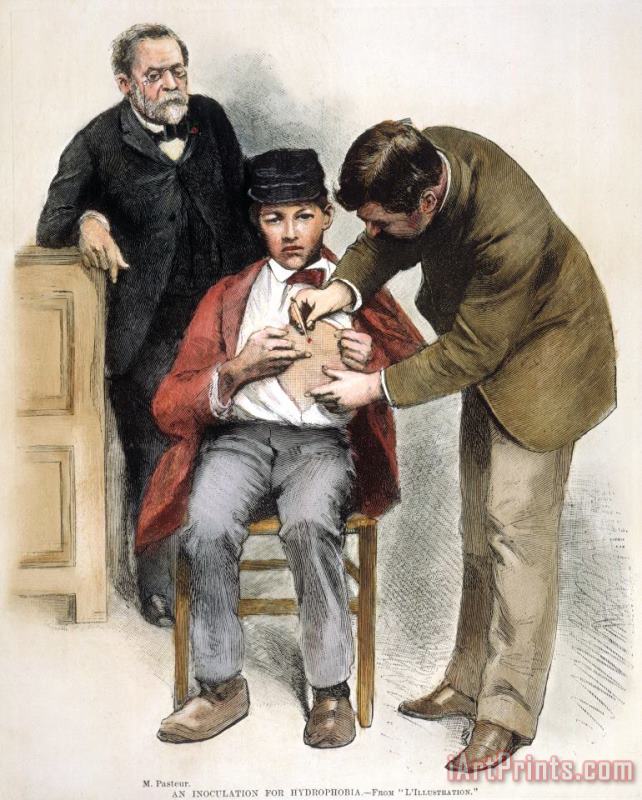 Others Louis Pasteur (1822-1895) Art Painting