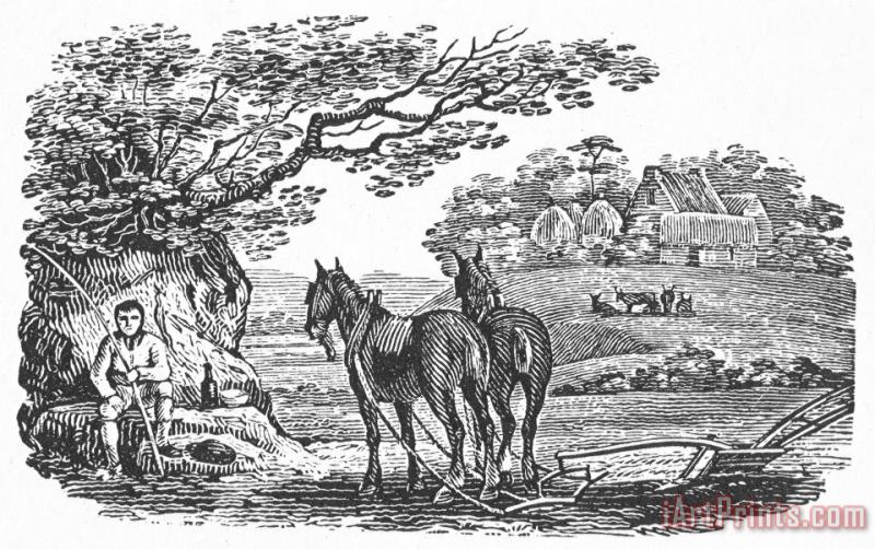 Others PLOUGHING, 19th CENTURY Art Print